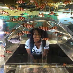 Meet your Posher, Latesha